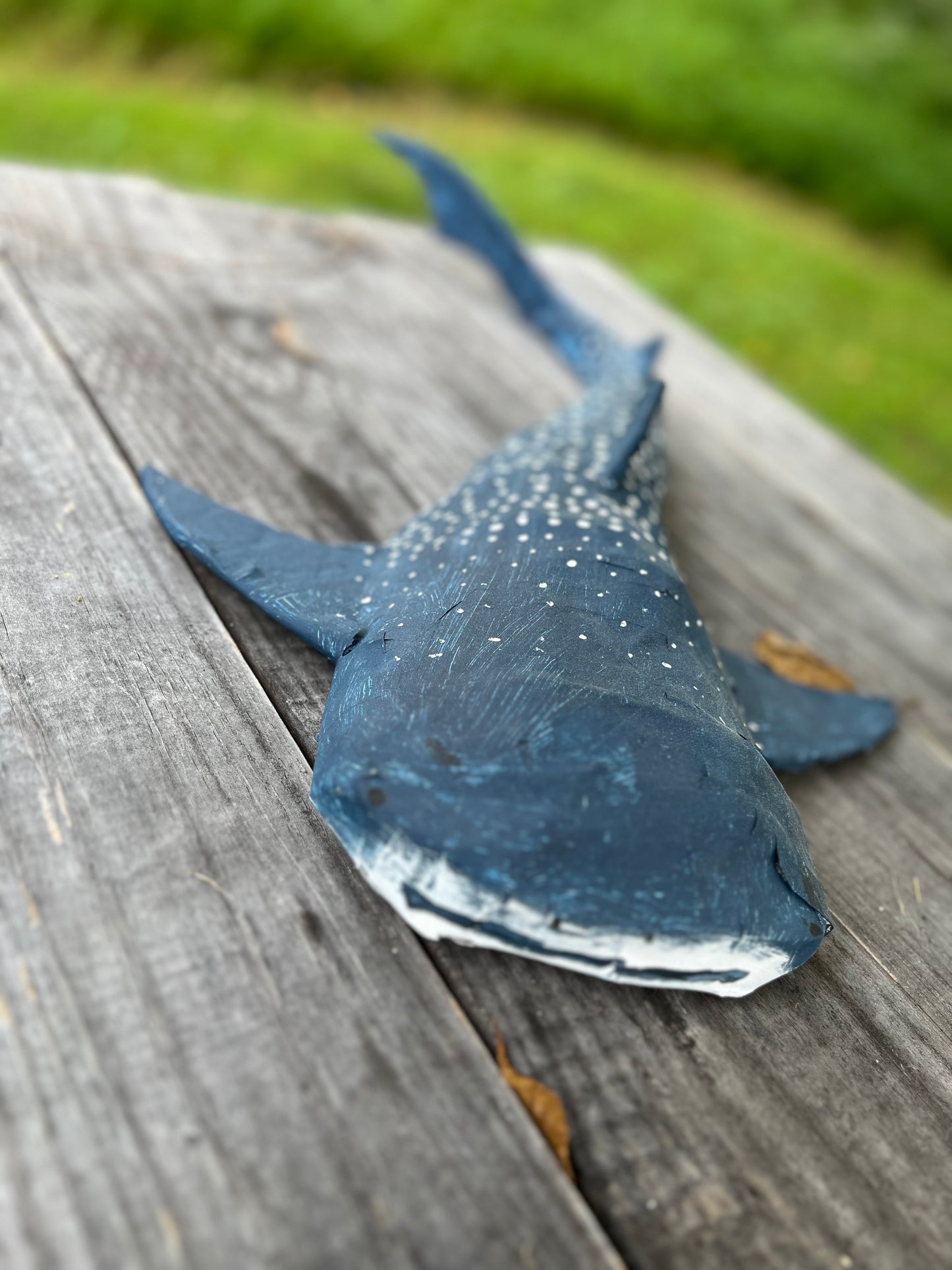 Paper Mache Sculptor 2 Part Class - Class ( Part 1 ) Ages Adult 8+