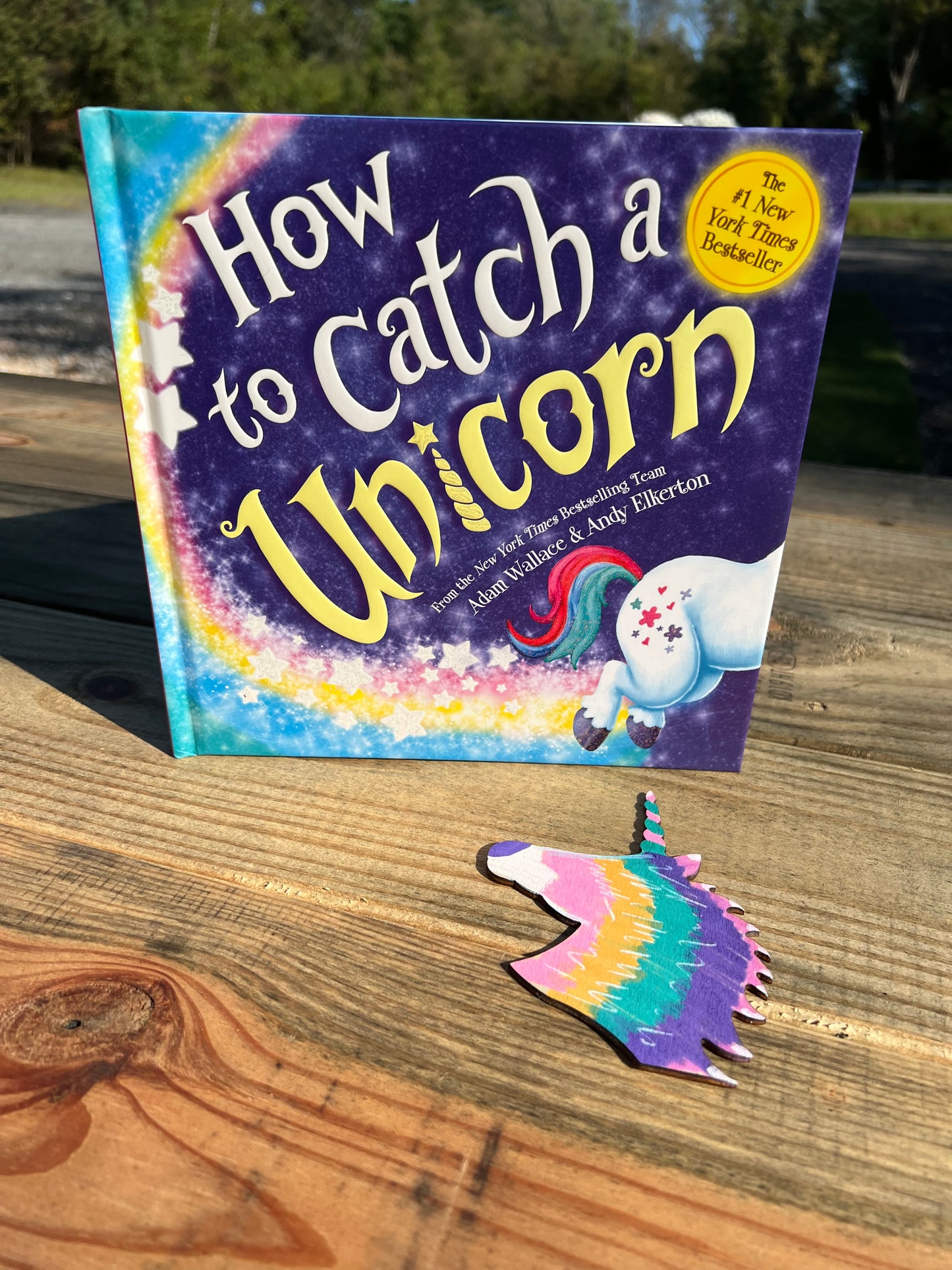 Story & Craft How to Catch a Unicorn $10 - Preschool time