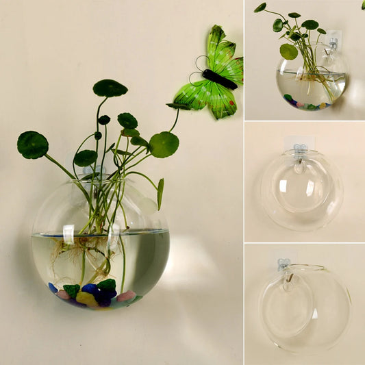 Glass Vase Wall Hanging Hydroponic